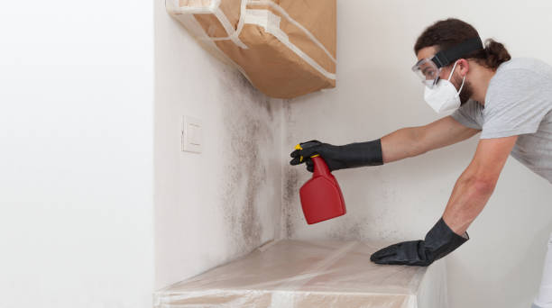 Professional Mold Remediation technician working in Newtown Square, PA