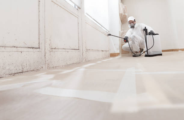 24/7 Emergency Mold Remediation experts in Newtown Square, PA