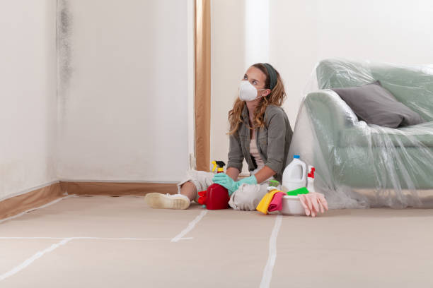 Reliable Mold Remediation contractor in Newtown Square, PA by WQB Mold Removal