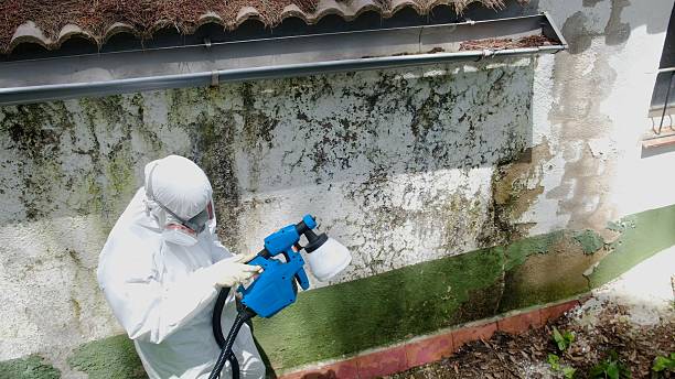 Top rated local Mold Remediation specialists in Newtown Square, PA